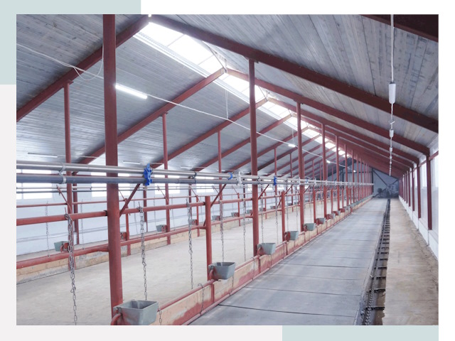 Строительство коровников в Клинцах от 624 руб.