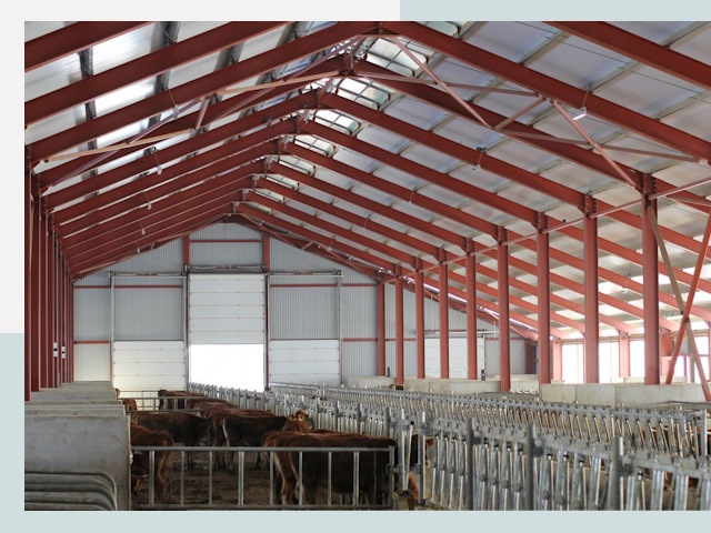 Строительство коровников в Клинцах