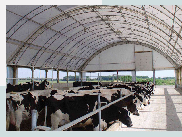 Тентовые коровники в Клинцах